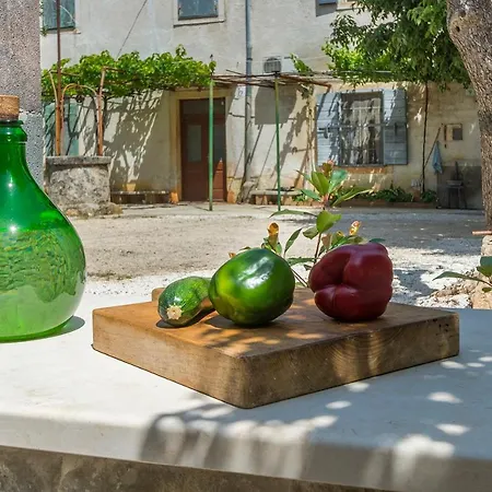 Casa Romantica Вилла Воднян